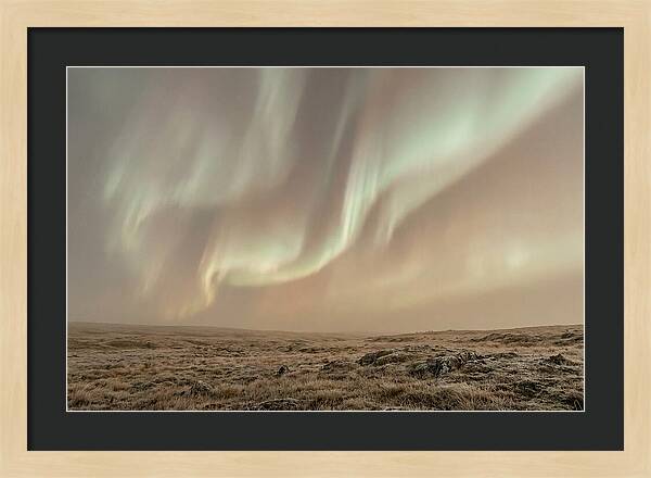 Aurora Ribbons Of Color