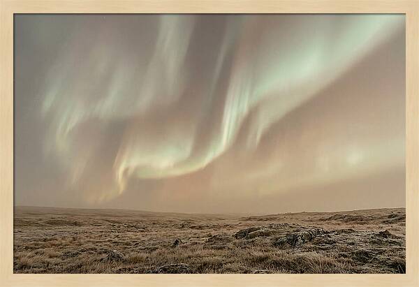 Aurora Ribbons Of Color