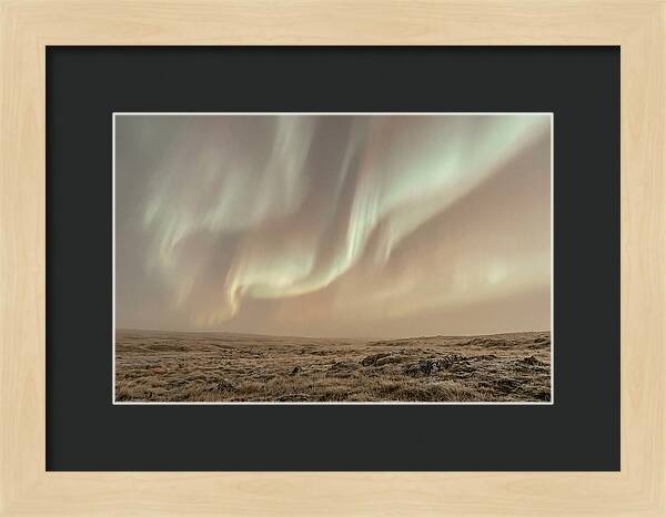 Aurora Ribbons Of Color