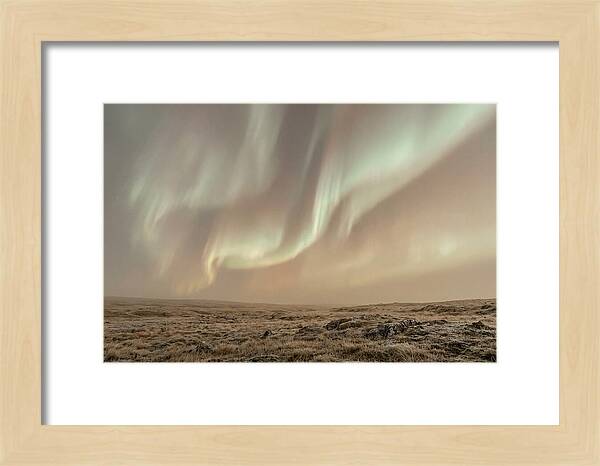 Aurora Ribbons Of Color