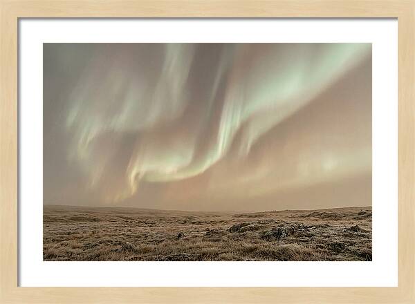 Aurora Ribbons Of Color