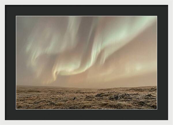 Aurora Ribbons Of Color