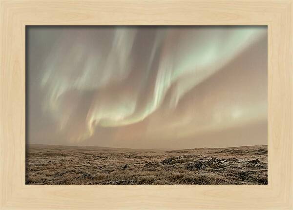 Aurora Ribbons Of Color