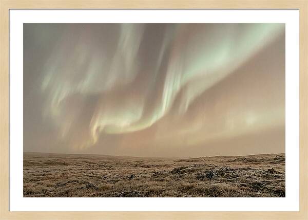 Aurora Ribbons Of Color