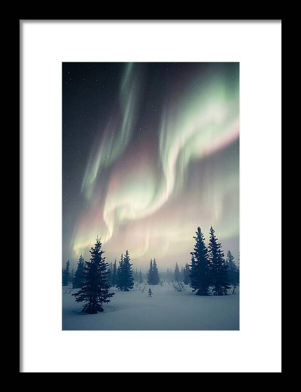 Auroras Above Alaskan Landscape