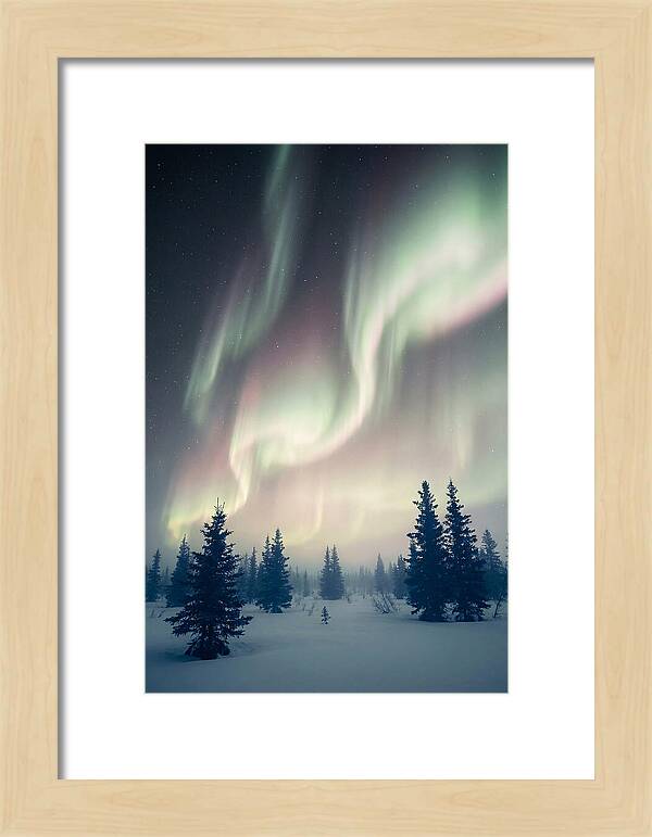Auroras Above Alaskan Landscape