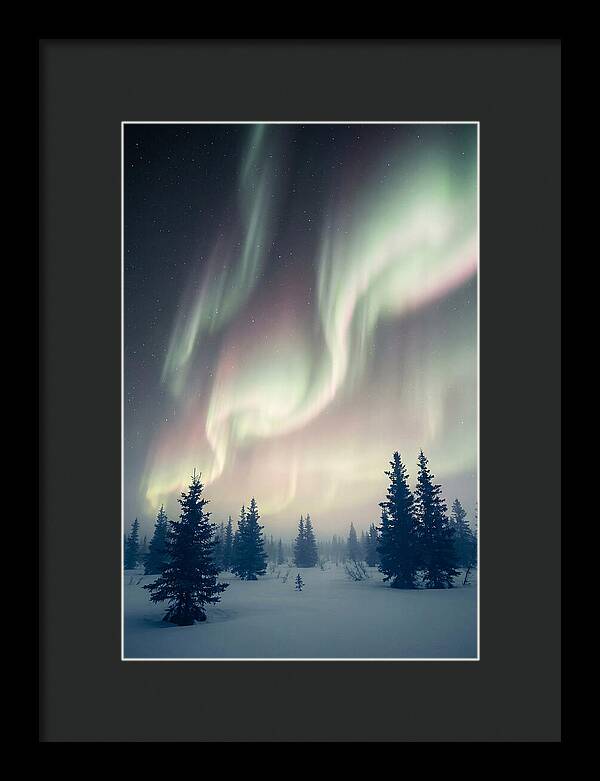 Auroras Above Alaskan Landscape