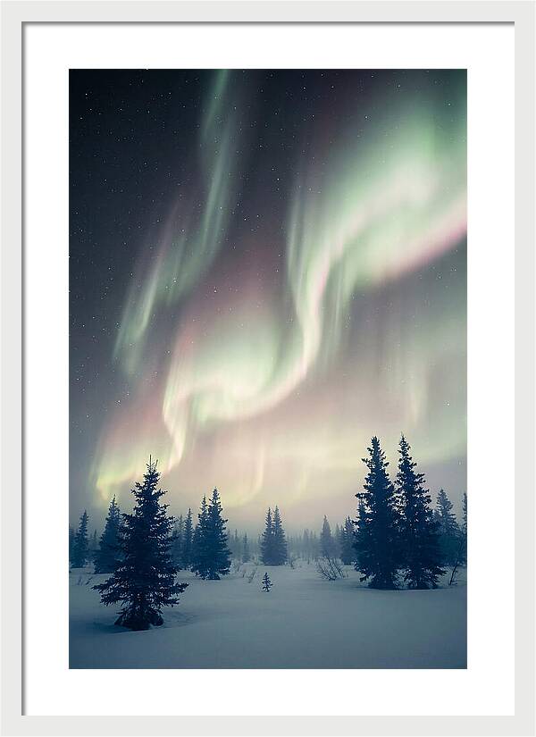 Auroras Above Alaskan Landscape