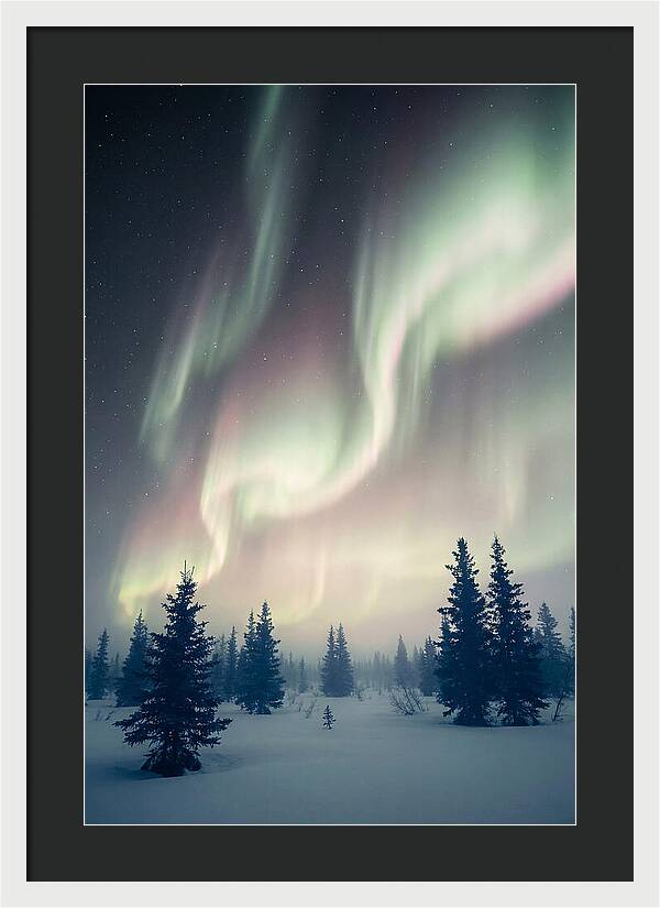 Auroras Above Alaskan Landscape