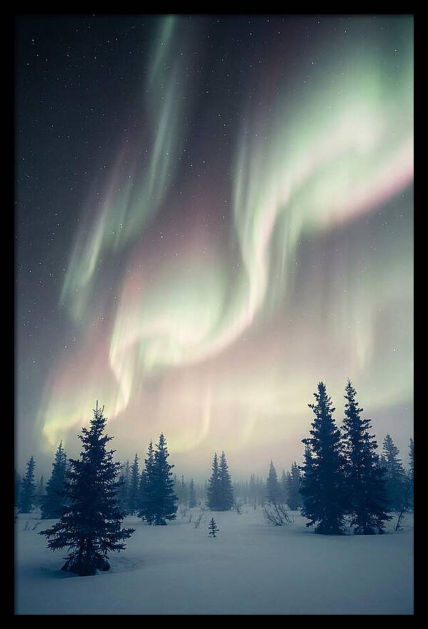 Auroras Above Alaskan Landscape