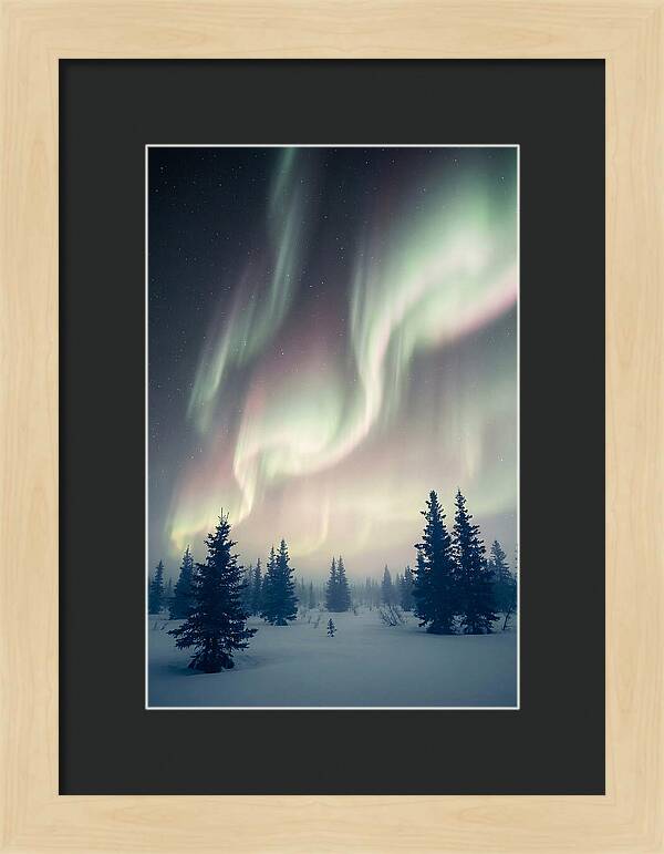 Auroras Above Alaskan Landscape