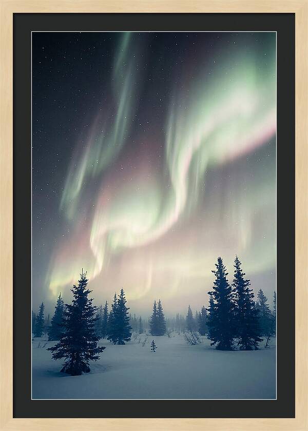 Auroras Above Alaskan Landscape
