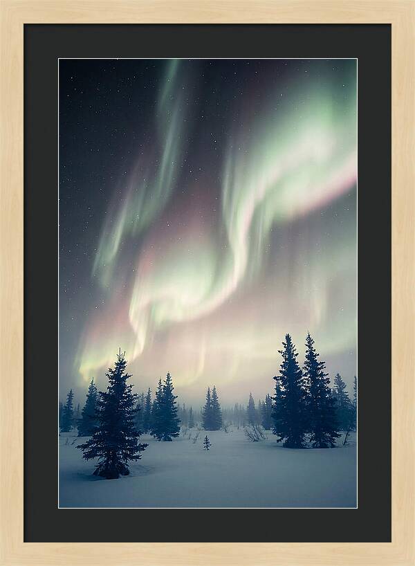 Auroras Above Alaskan Landscape