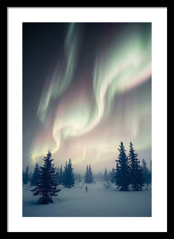 Auroras Above Alaskan Landscape