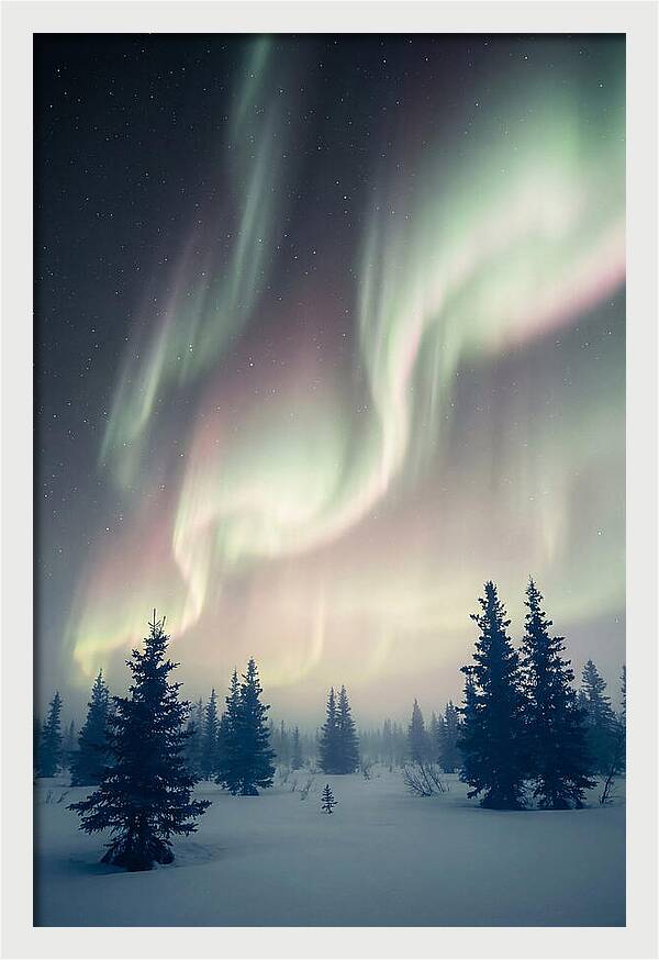 Auroras Above Alaskan Landscape