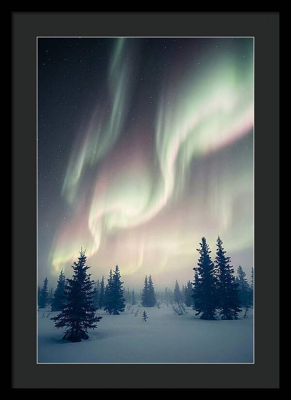 Auroras Above Alaskan Landscape
