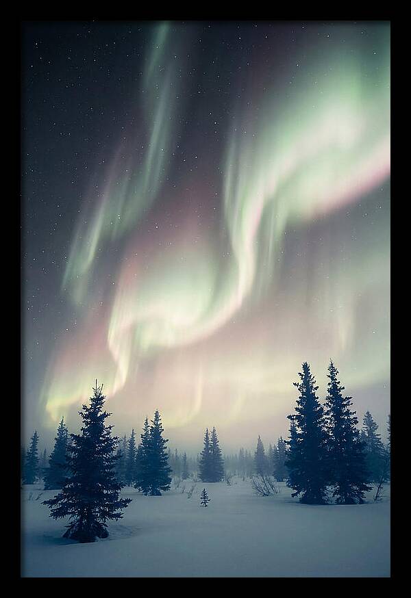 Auroras Above Alaskan Landscape