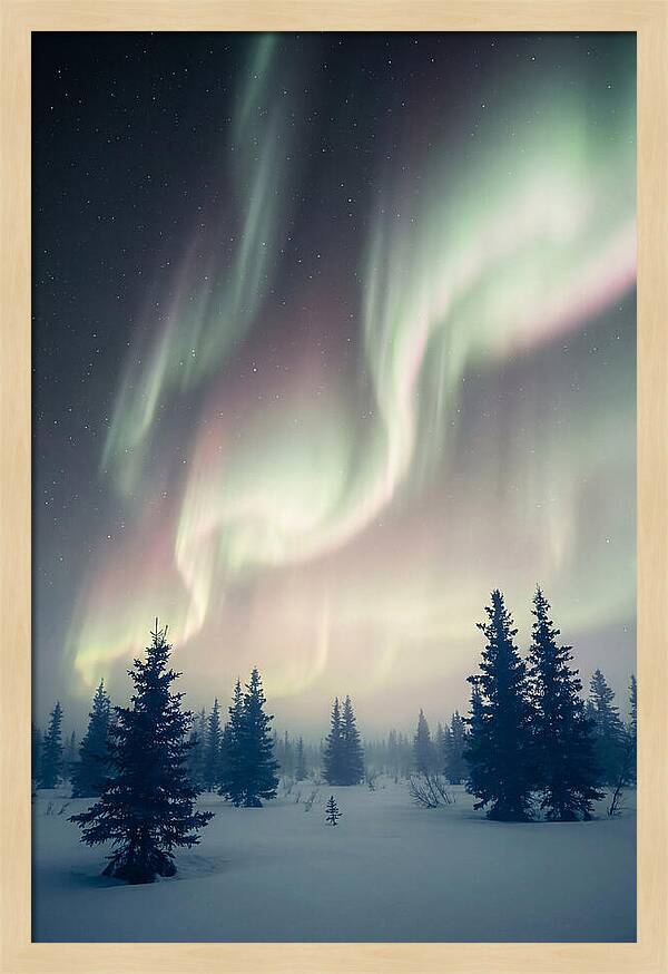 Auroras Above Alaskan Landscape