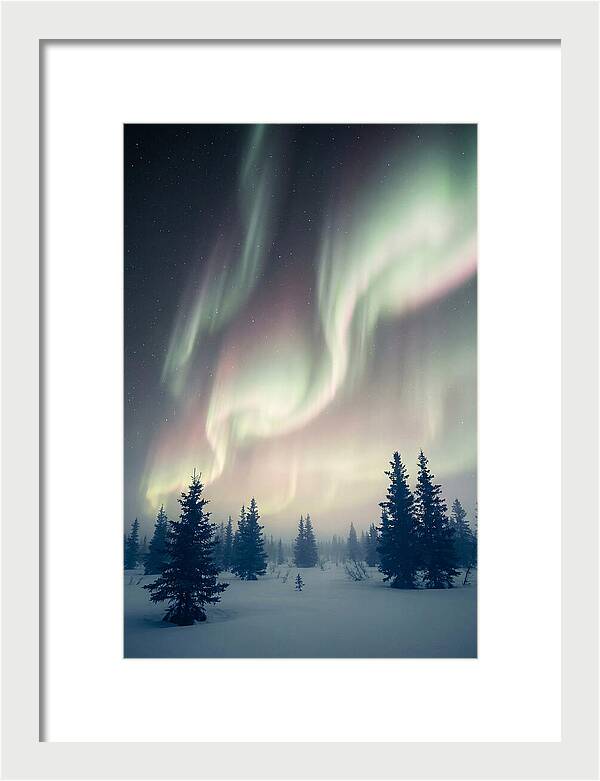 Auroras Above Alaskan Landscape