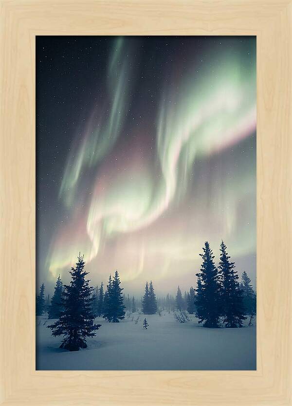 Auroras Above Alaskan Landscape