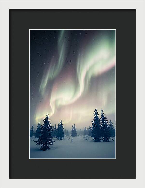 Auroras Above Alaskan Landscape