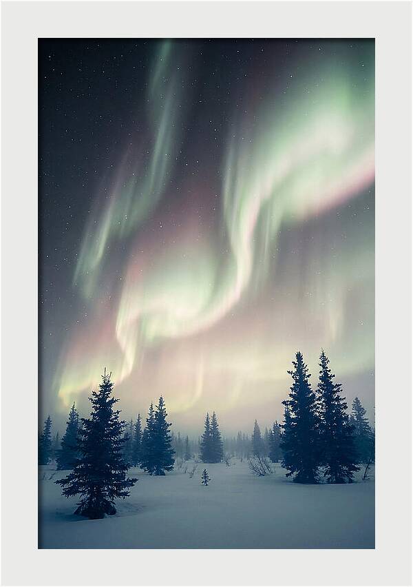 Auroras Above Alaskan Landscape