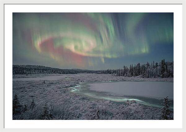 Auroras Above Tornetrask Lake