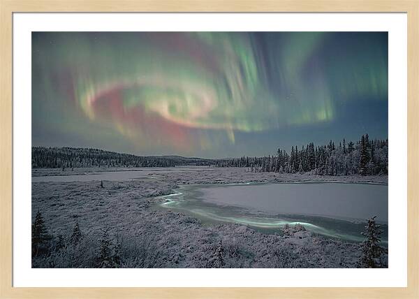 Auroras Above Tornetrask Lake
