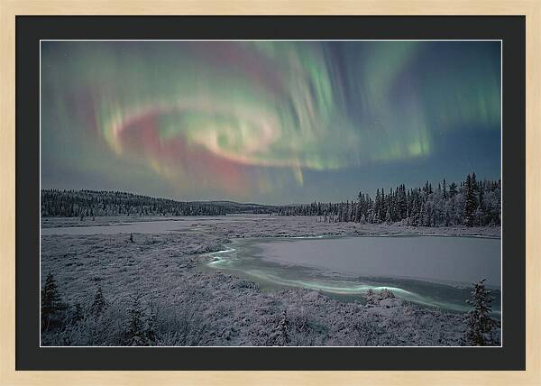 Auroras Above Tornetrask Lake