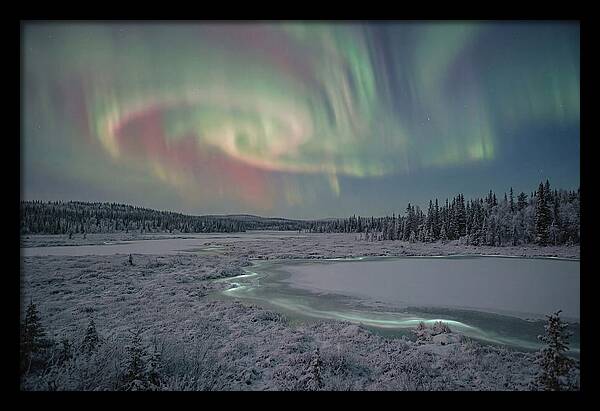 Auroras Above Tornetrask Lake