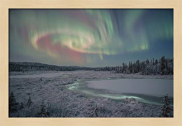Auroras Above Tornetrask Lake