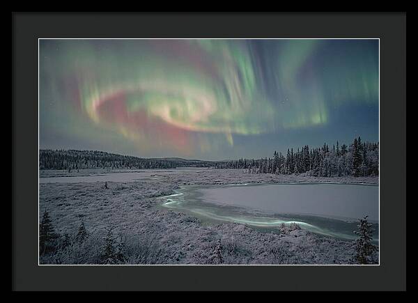 Auroras Above Tornetrask Lake