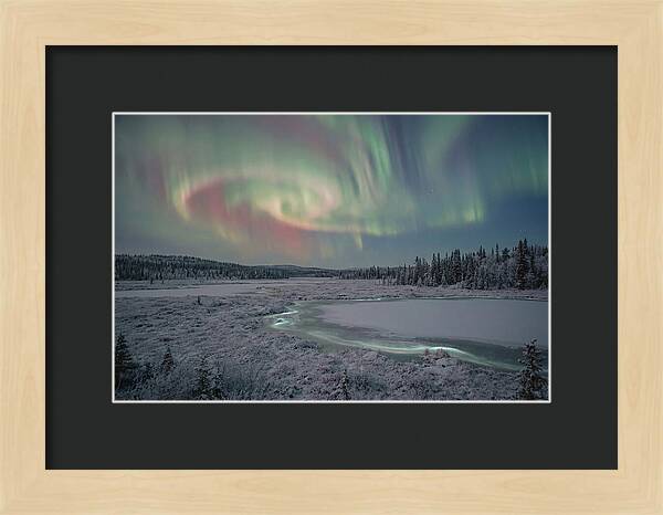 Auroras Above Tornetrask Lake