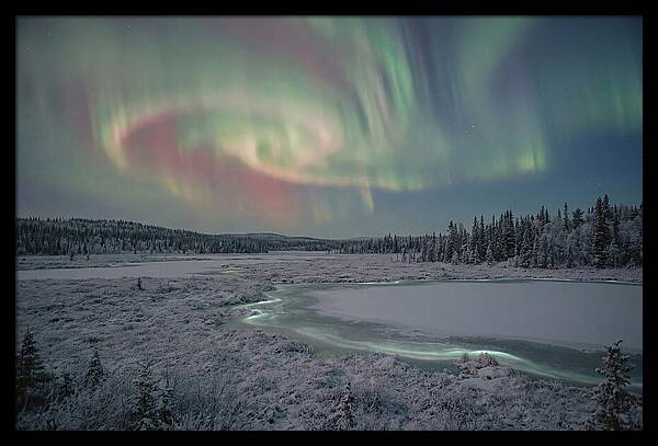 Auroras Above Tornetrask Lake