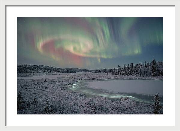 Auroras Above Tornetrask Lake
