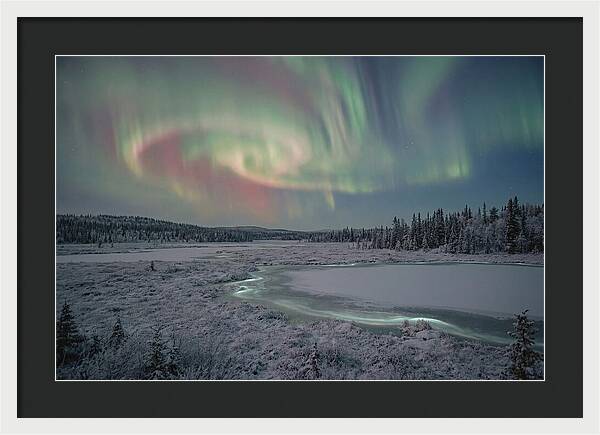 Auroras Above Tornetrask Lake