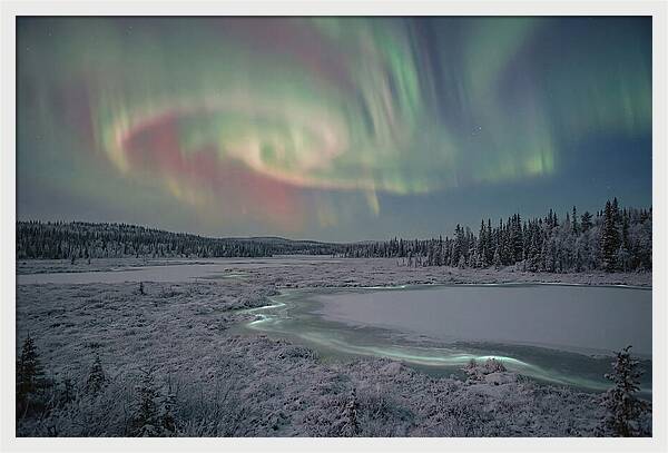 Auroras Above Tornetrask Lake