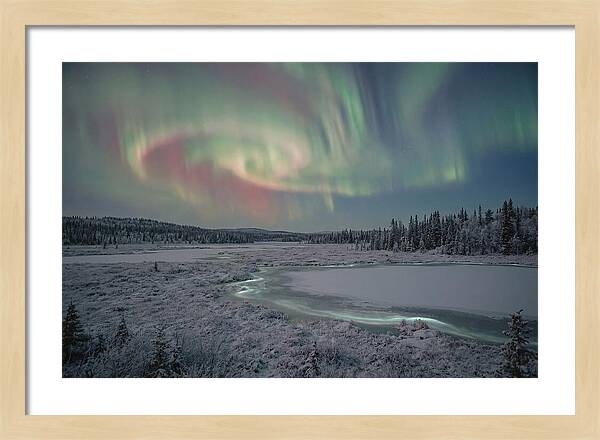 Auroras Above Tornetrask Lake