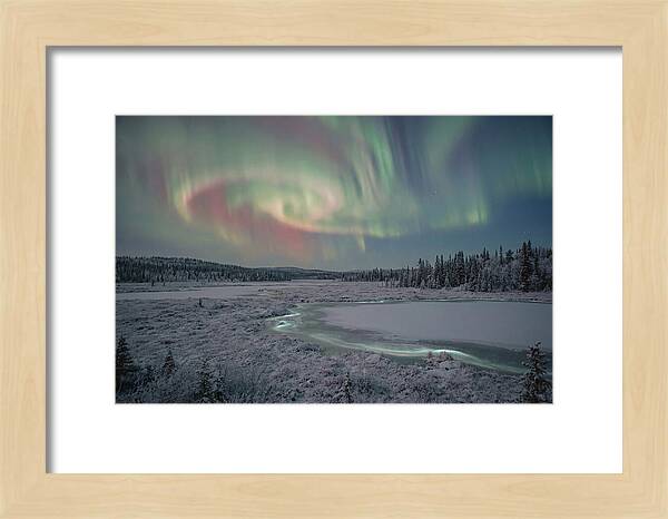 Auroras Above Tornetrask Lake