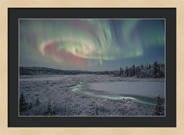 Auroras Above Tornetrask Lake