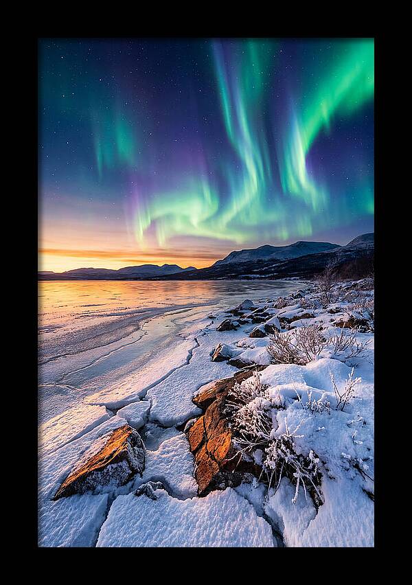 Auroras Above Tornetrask Lake
