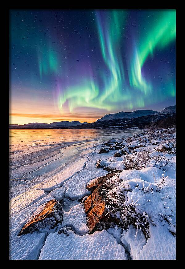 Auroras Above Tornetrask Lake