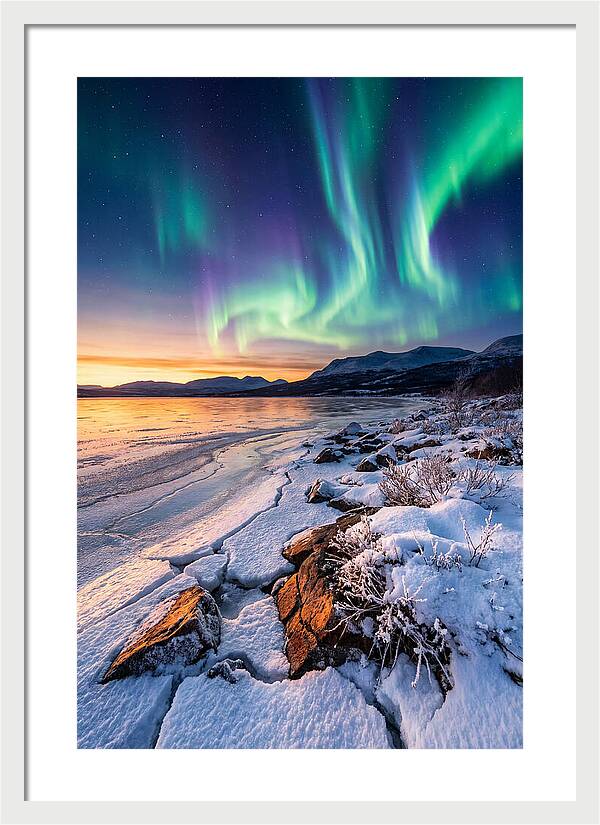 Auroras Above Tornetrask Lake