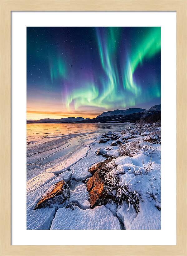 Auroras Above Tornetrask Lake