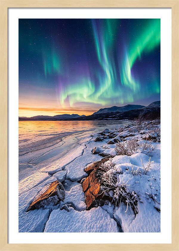Auroras Above Tornetrask Lake