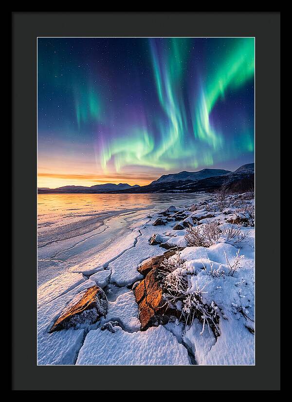 Auroras Above Tornetrask Lake