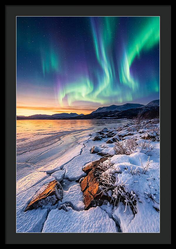 Auroras Above Tornetrask Lake