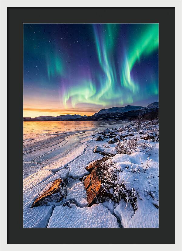 Auroras Above Tornetrask Lake