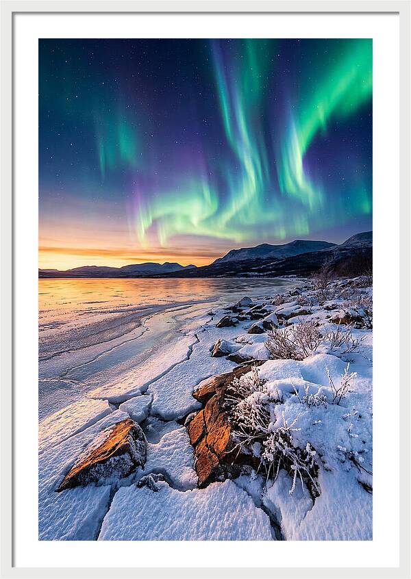 Auroras Above Tornetrask Lake