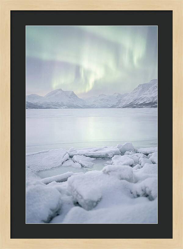 Auroras Above Tornetrask Lake